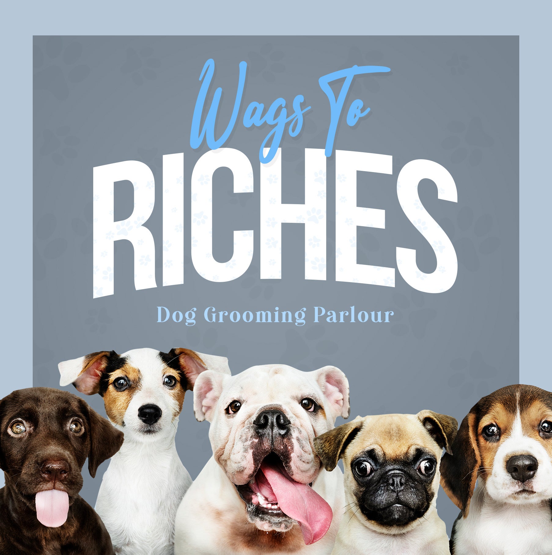 Wags to Riches Dog Grooming Parlour
